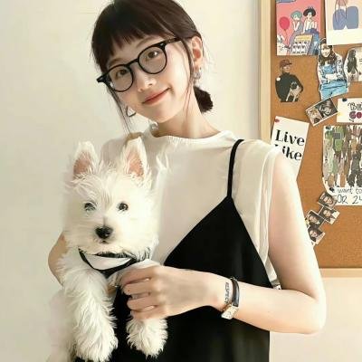 猫狗武林